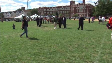 A big crowd turned out Saturday for the first-ever Brighton Park Festival held at Kelly Park on the citys Southwest Side.
