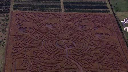 The Richardson Farm corn maze in northwest suburban Spring Grove is open until midnight Friday and Saturday. This years design is a tribute to The Beatles.