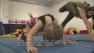 Yoga gymnastics therapy helps kids motor skills