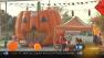 Maywood Pumpkin Patch Parade