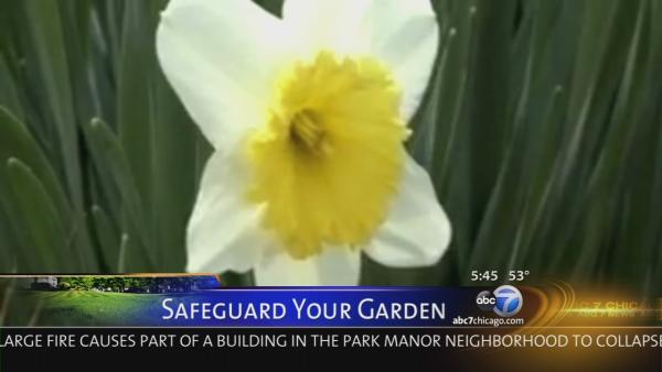 Winterizing Your Garden: 3 Things to Know