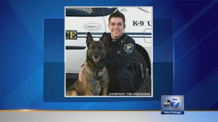 Pontiac officer, police dog killed in crash
