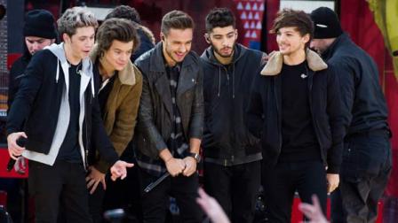One Direction members, from left, Niall Horan, Harry Styles, Liam Payne, Zayn Malik and Louis Tomlinson perform on ABCs Good Morning America on Tuesday, Nov. 26, 2013 in New York.
