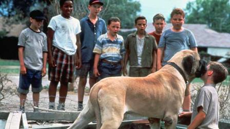 This film image released by 20th Century Fox shows Tom Guiry as Scotty Smalls, being licked by The Beast in a scene from the 1993 film The Sandlot.  