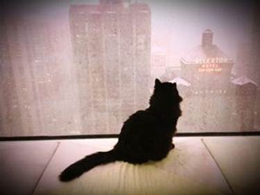 Send your snow photos to USeeIt@abc7chicago.com