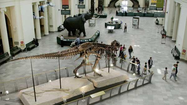 A small group of tourists check out Sue, the tyrannosaurus rex skeleton, on Tuesday, Oct. 2, 2001. (AP Photo/Charles Bennett)