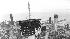 Sears Tower History