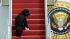 First dog Bo climbs the stairs of Air Force One...