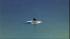 A coyote was spotted floating on a piece of ice...