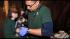 African wild dog puppies, born at Brookfield Zoo...