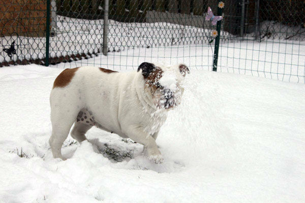 Send your snow photos to USeeIt@abc7chicago.com 