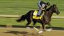 Kentucky Derby: Bodemeister early favorite, McHenry Co. horse draws post 3