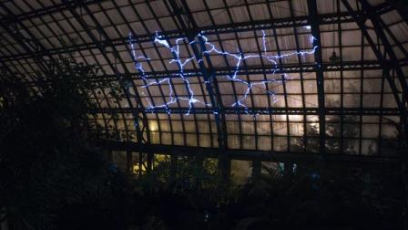 Light is projected onto the ceiling of the Garfield Park Conservatory representing the damage to the facility after a hail storm last year. Photo courtesy of the Garfield Park Conservatory.