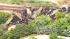 Freight train derails in north suburbs