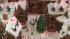 Flossmoor woman builds gingerbread village