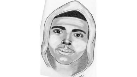 Sketch of Bolingbrook attempted abduction suspect