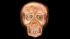 RING: (1) 14k RG and diamond skull ring set...