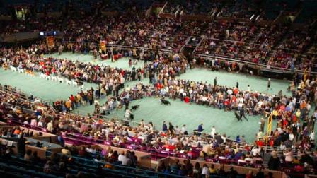 Dogs are presented during competition the 129th Westminster Kennel Club dog show at Madison Square Garden in this file photo in New York.