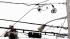 3. Telecommunications (wireless service, local...