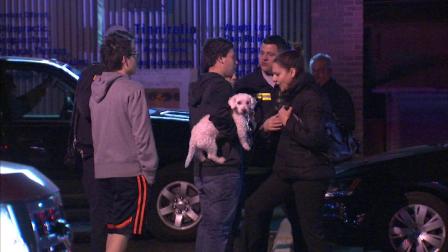 A gas leak prompted the evacuation of an animal hospital in west suburban Berwyn Saturday night.