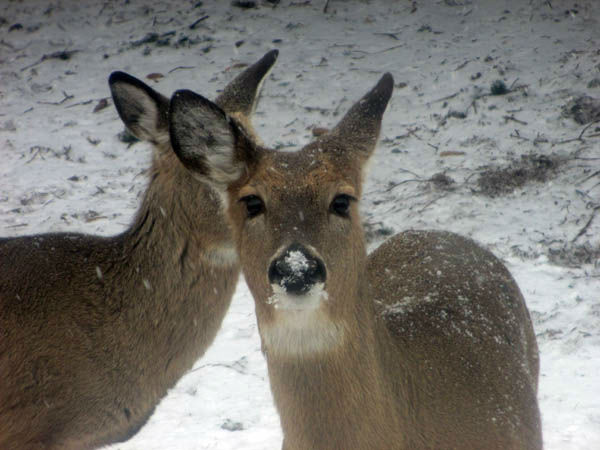 Send your snow photos to USeeIt@abc7chicago.com 