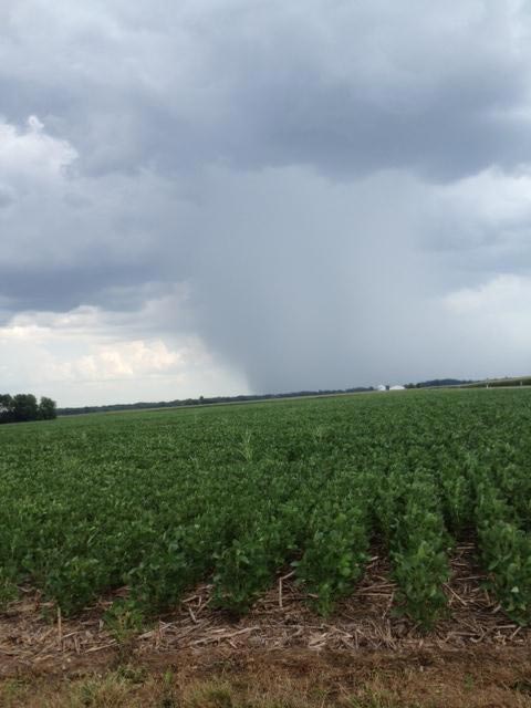 A squall line rolled through the Chicago area...