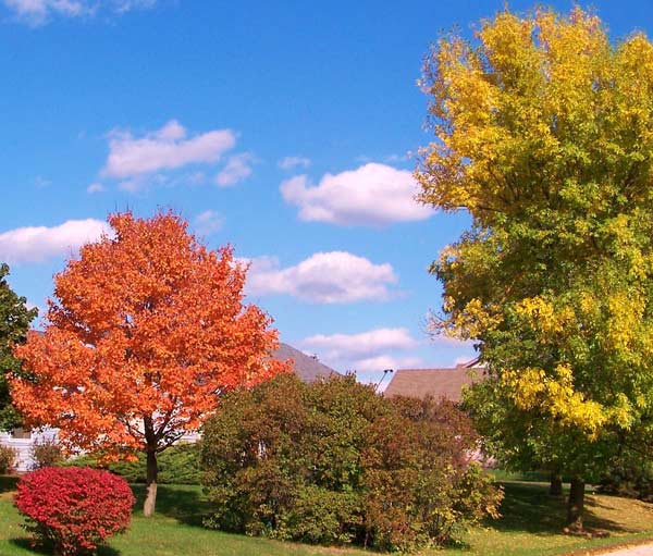 Moraine Hills, McHenry, Ill. ABC7 Chicago...