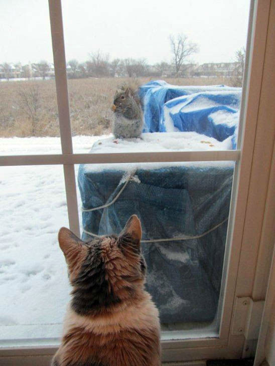 Send your snow photos to USeeIt@abc7chicago.com 