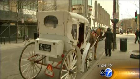 Chicago Mayor Rahm Emanuel wants to update regulations on horse-drawn carriages in the city.
