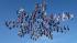 In this image provided by Brian Buckland, 138...