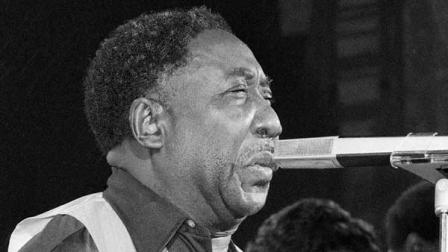 Blues musician Muddy Waters performs at New Yorks Palladium Theater, Oct. 1, 1977 in a benefit performance for the New York Public Library.