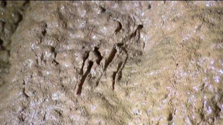 Workers at some caverns in southern Indiana say theyve discovered bones from creatures that havent walked the earth in 40,000 years.