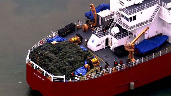 <div class="meta "><span class="caption-text ">The Christmas Tree Ship arrived in Chicago on December 6, 2013. The Coast Guard Cutter Mackinaw left its port in Cheboygan last month and sailed Lake Michigan to arrive at Navy Pier. (WLS Photo)</span></div>