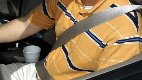 File Photo - Seatbelt (AP Photo/Rogelio Solis)