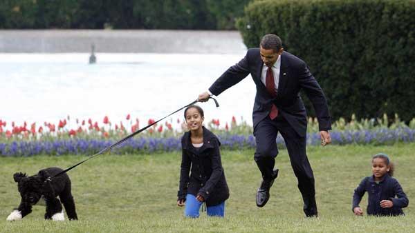 President Barack Obama is almost jerked off his feet as he shows off their new dog Bo, Tuesday, April 14, 2009, a 6-month-old Portuguese water dog with his daughters Malia, left, and Sasha Obama, right, on the South Lawn of the White House in Washington, Tuesday, April 14, 2009. (AP Photo/Ron Edmonds)