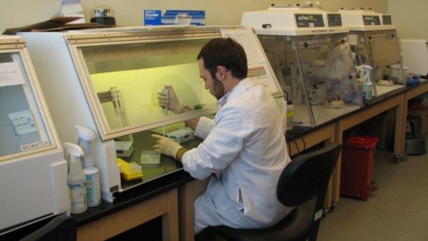 Robert Nickla prepares clinical samples submitted for influenza testing at the Arizona State Laboratory in Phoenix on Tuesday, April 28, 2009. (AP Photo/Arizona Department of Health Services)