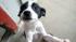 This photo provided March 2, 2011, by Marcia...