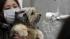 A woman holds her dog as they are scanned for...