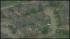 Texas Tornadoes | Damage in Dallas-Fort Worth