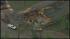 Texas Tornadoes | Damage in Dallas-Fort Worth