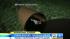 Minnesota boy survives a wild ride through a...