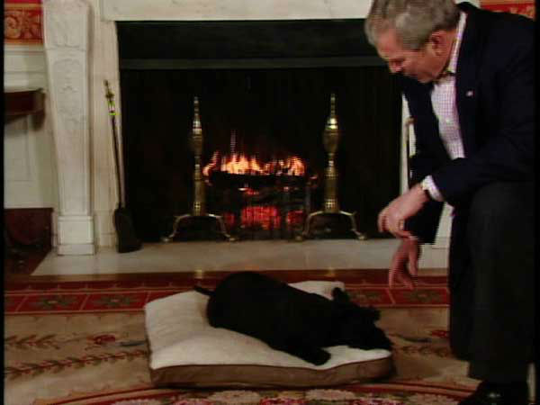 PHOTOS: Past White House Pets