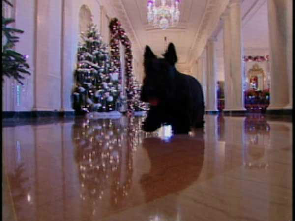 PHOTOS: Past White House Pets