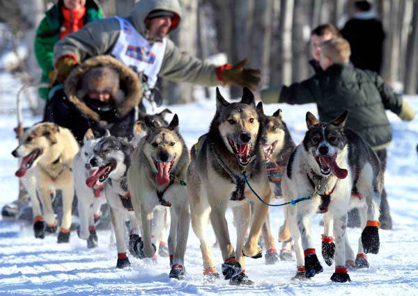 The 2004 Iditarod champion Mitch Seavey leaves...
