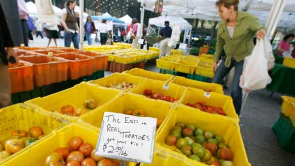 Shoppers pick through tomatoes at the Chicago Farmers market in Federal Plaza. (AP)