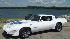 Bob and Maria Millers 1979 Pontiac Trans Am