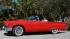 Michael McNeals 1957 Thunderbird