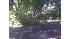 Fallen tree blocks entire neighborhood road in...