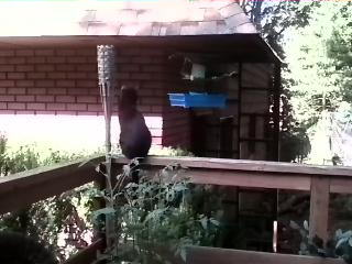 Mr. Rogers hangs out with Action News producer...