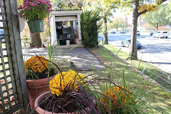 The Action News Garden